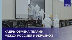 Кадры обмена телами между Россией и Украиной
