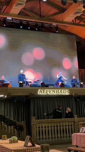 ALPENHAUS живое выступление, Питер