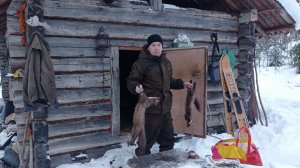 Охота и рыбалка в тайге/ Попались куницы/ Налимы и щуки на самоловки/ Изба/ таежный быт