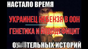 Украинец Небензя в ООН. Генетика и йододефицит