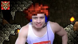 Лоботомия(Часть 22(Terraria))