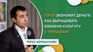 Горох экономит деньги │Как выращивать бобовую культуру с прибылью