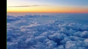 сиреноголовый с длинной шеей