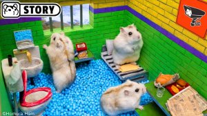 🐹 Хомяк сбегает из тюремного лабиринта Алькатрас 🐹 Хомяк Хомура