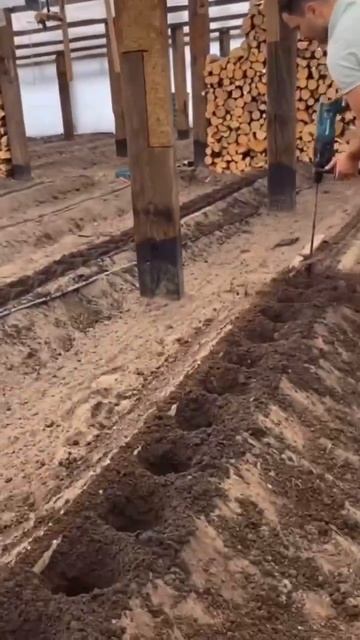 Делаем лунки на грядках