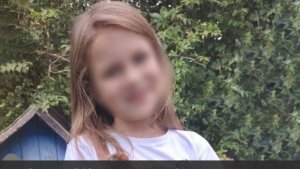 В Смоленске пропала девятилетняя девочка во время прогулки с собакой. Что известно