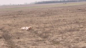 Норман. 26.02.26.