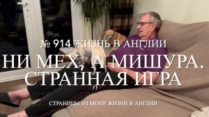 Ни мех, а мишура. Не понравилась. Люси играет с Полом и разное. № 914 Жизнь в Англии