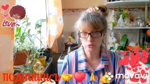 🚀🖋️РЕШЕНИЕ ПРИНЯТО,ИДУ СВОИМ ПУТЁМ💃🔥 МОИ БУДНИ 🖋️🚀