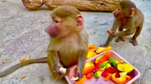 Стобы не дать никому еды, Маня просто перевернула разнос и СЕЛА СВЕРХУ!