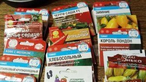 Садово-огородная сага. Сею томаты.