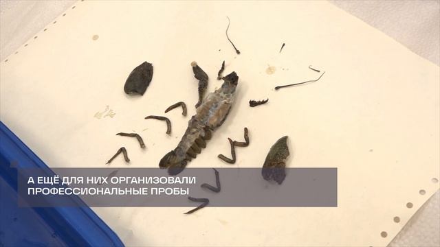 Региональный семинар для педагогов и школьников медклассов провели в Балашихе смотреть онлайн