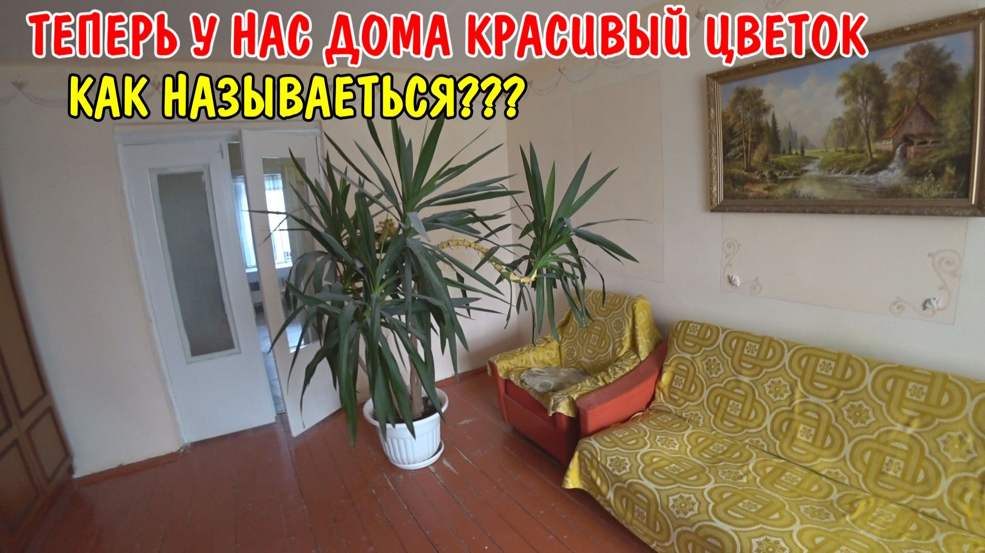 РЕМОНТ В СПАЛЬНЕ / У НАС НОВЫЙ ЦВЕТОК / УСТАНОВИЛ ДОМАШНИЙ КИНОТЕАТР / СПАЛЬНЯ ДО И ПОСЛЕ / ВЛОГ смотреть онлайн