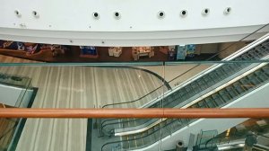 Сингапур, Аэропорт Чанги T1 уровень 5 Canopy. Декабрь 2025