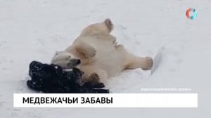 Думка на кайфе