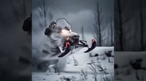 на снегоходе