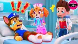 Щенячий патруль и Маршалл. Залипательное видео. Мультфильм для детей и малышей. Анимация 309