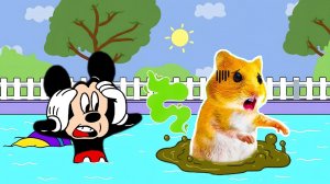 Мультики для детей. Мистер Хомяк и губка боб играют вместе мультики/видео про Хомяков