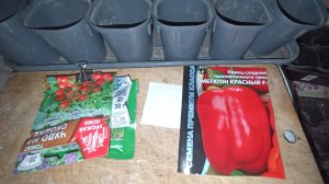 Деревенские будни//Укоротили Зефире рог//Пернатый друг//Готовлюсь к посевной.