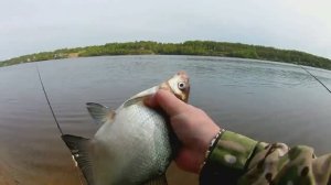 ЛОВЛЯ ЛЕЩА НА ПЕНОПЛАСТ.РЫБАЛКА НА верхней ВОЛГЕ.