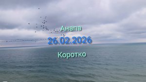 Анапа 26.02.2026 Коротко
