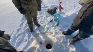 Жалкое подобие рыбалки