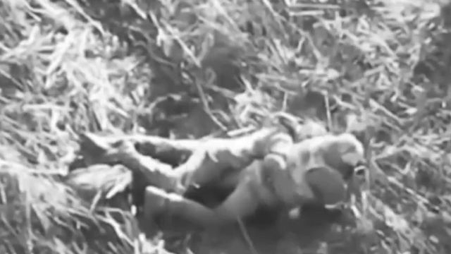 Быть Добру. Берегите себя и своих родных. смотреть онлайн