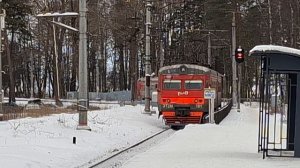 Сестрорецк, залив