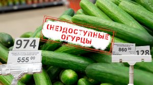 НОВОСТИ КАМЧАТКИ: ((НЕ)ДОСТУПНЫЕ ОГУРЦЫ)