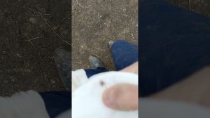 разбила крылья, звоните