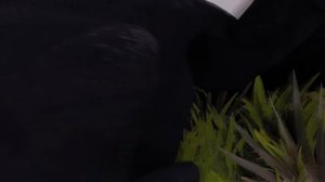 “Another night fury？” Episode 3