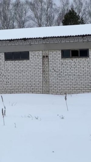 Куда спешим… #деревня #дом #забытое