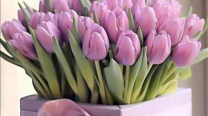 Красивое поздравления с 8 марта! Музыкальная открытка с 8 марта!