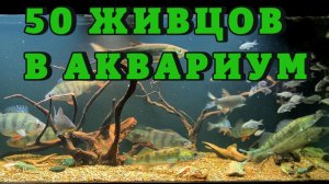 50 ЖИВЦОВ ХИЩНИКАМ