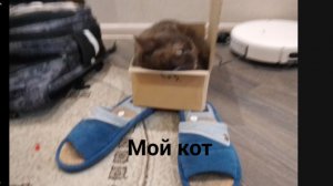 Обзор Фила и чёрного кота 10К