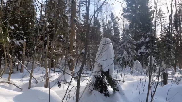 пл.43 км - ст.Фабричная