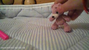 Медвежонок поскользнулся