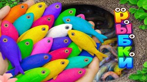 Мультики для детей и малышей про водных обитателей. Ловим и рассматриваем жителей водоема