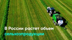 В России растет объем сельхозпродукции