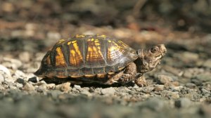 День неторопливости. Такое утро