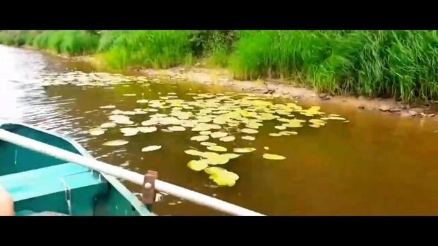 поездка за воблерами ЧАСТЬ 80