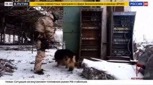 За нашу Великую Россию 
и любимую Родину!🇷🇺