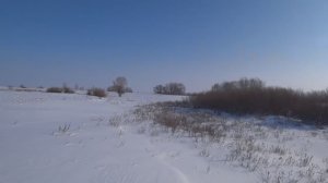 Охота на зайца - Закрытие сезона 2025-2026