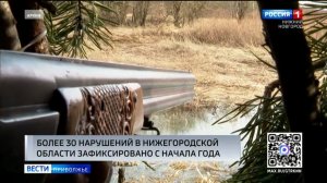Более 30 нарушений в сфере охоты зафиксировано в Нижегородской области с начала 2026 года