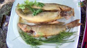 Агидель (Белая река)