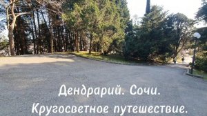 Кругосветное путешествие в дендрарии, в Сочи. Начало в Северной Америке.