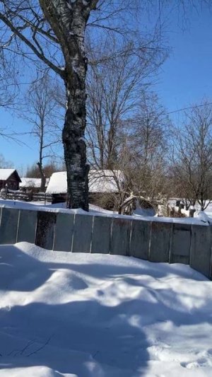 Письмо  #деревенский  #деревня  #дом  #почта  #письмо