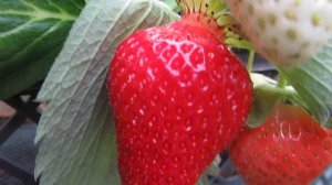 Уже скоро...