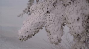 Что произойдёт 26 февраля.  Готовимся к переменам.