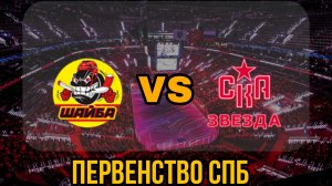 Шайба 14 - СКА Звезда 14